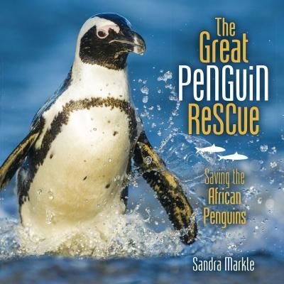 Cover for Sandra Markle · The great penguin rescue saving the African penguins (Book) (2017)
