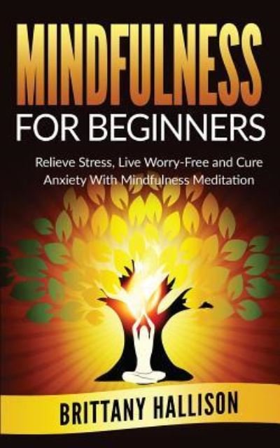 Cover for B L Hallison · MINDFULNESS For Beginners (Paperback Book) (2015)