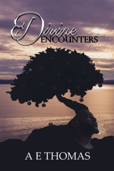 Cover for Ae Thomas · Divine Encounters (Paperback Book) (2021)