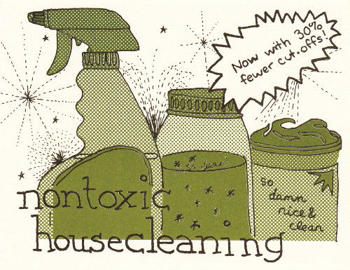 Cover for Raleigh Briggs · Nontoxic Housecleaning (Diy) (Pamphlet) [Pmplt edition] (2007)