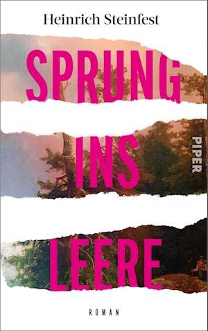 Cover for Heinrich Steinfest · Sprung Ins Leere (Buch)