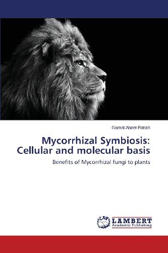 Cover for Gamal Abdel-fattah · Mycorrhizal Symbiosis: Cellular and Molecular Basis: Benefits of Mycorrhizal Fungi to Plants (Paperback Bog) (2013)