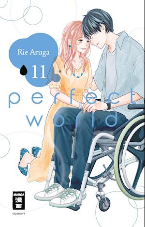 Cover for Rie Aruga · Perfect World 11 (Paperback Book) (2021)