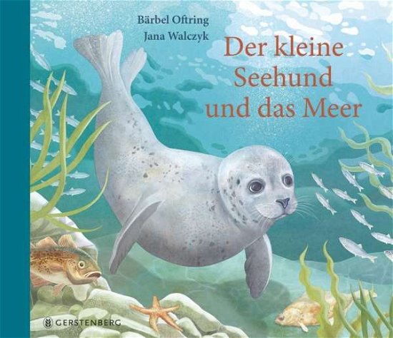 Cover for Bärbel Oftring · Der kleine Seehund und das Meer (Gebundenes Buch) (2020)