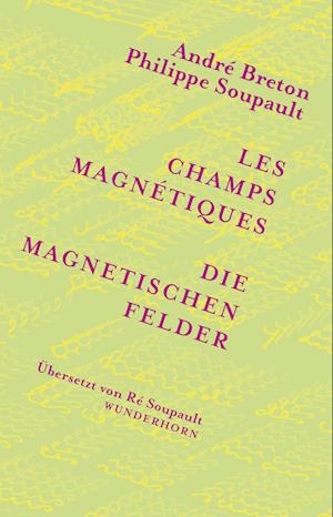 Cover for Manfred Metzner · Die magnetischen Felder (Book) (2024)