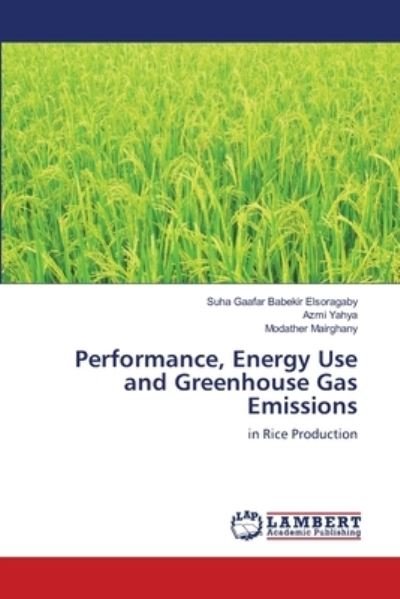 Cover for Elsoragaby · Performance, Energy Use and (Buch) (2020)