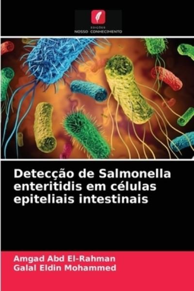Cover for Amgad Abd El-Rahman · Deteccao de Salmonella enteritidis em celulas epiteliais intestinais (Pocketbok) (2021)