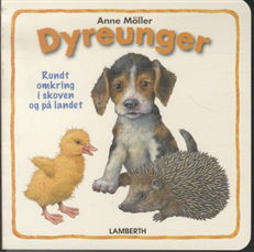 Cover for Anne Möller · Dyreunger - Rund omkring i skoven og på landet (Cardboard Book) [1. Painos] (2010)