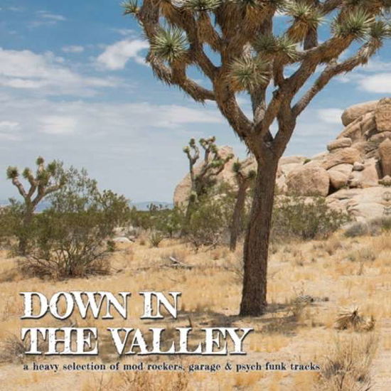 Down In The Valley Various Artists Lp - Aa.vv. - Música - PERFECT TOY - 5050580689152 - 1 de fevereiro de 2024