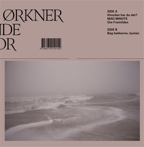 Cover for Woetmann - Amholt · Og Ørkener I Rasende Udenfor (LP) (2020)