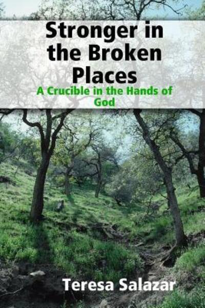 Cover for Teresa Salazar · Stronger in the Broken Places (Paperback Book) (2010)