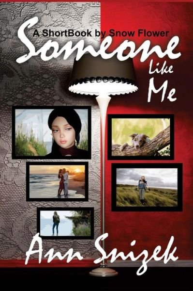 Cover for Ann Snizek · Someone Like Me (Paperback Book) (2013)