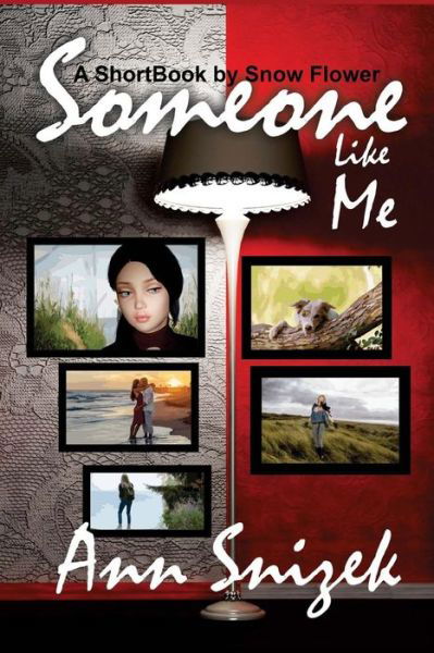 Cover for Ann Snizek · Someone Like Me (Taschenbuch) (2013)