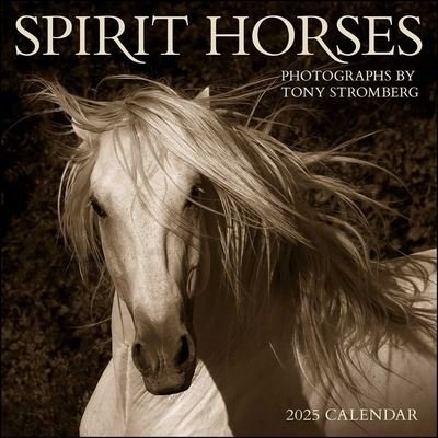 Spirit Horses 2025 Wall Calendar by Tony Stromberg - Tony Stromberg - Merchandise - Andrews McMeel Publishing - 9781524891152 - August 13, 2024
