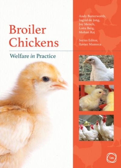 Cover for Andy Butterworth · Broiler Chickens Welfare in Practice - Welfare in Practice (Paperback Book) (2021)