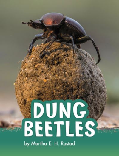 Cover for Martha E H Rustad · Dung Beetles (Hardcover Book) (2020)