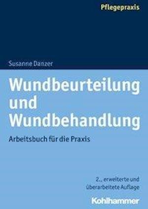 Cover for Danzer · Wundbeurteilung und Wundbehandlu (Book) (2019)