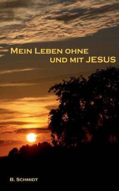 Cover for B Schmidt · Mein Leben Ohne Und Mit Jesus (Taschenbuch) (2015)