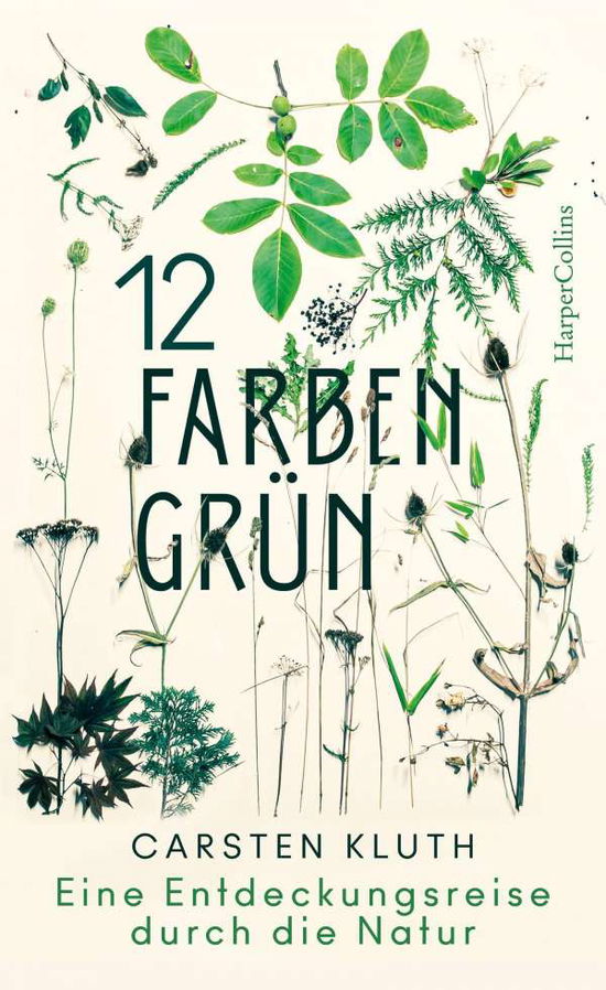 Cover for Kluth · 12 Farben Grün - Eine Entdeckungs (N/A)