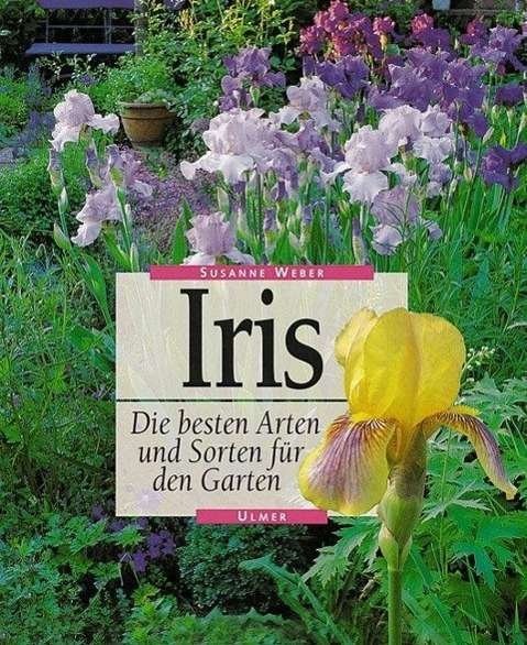 Cover for Susanne Weber · Iris (Innbunden bok) (2001)