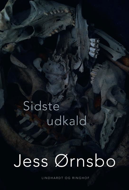 Cover for Jess Ørnsbo · Sidste udkald (Heftet bok) [1. utgave] (2016)