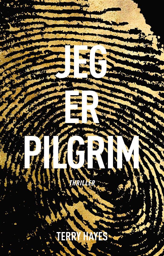 Cover for Terry Hayes · Jeg er Pilgrim (Hæftet bog) (2016)