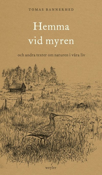 Cover for Tomas Bannerhed · Hemma vid myren : Och andra texter om naturen i våra liv (Gebundesens Buch) (2023)