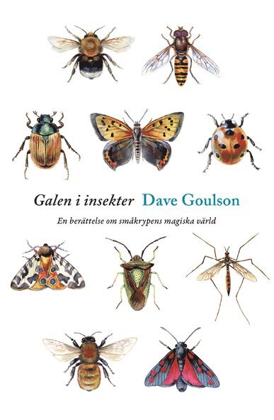 Cover for Dave Goulson · Galen i insekter : en berättelse om småkrypens magiska värld (Inbunden Bok) (2016)