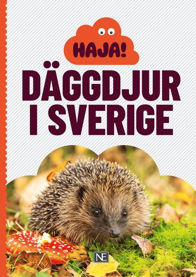 Cover for Låtta Skogh · Haja! Däggdjur i Sverige (Paperback Book) (2024)