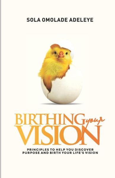 Cover for Sola Omolade Adeleye · Birthing Your Vision (Paperback Book) (2020)