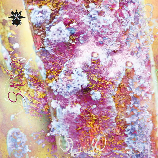 Cover for Qoa · Sauco (LP) (2024)