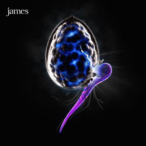 Cover for James · Night Before Ep (CD) [EP edition] (2010)