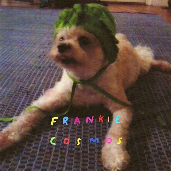 Cover for Frankie Cosmos · Zentropy (LP) [Limited edition] (2014)