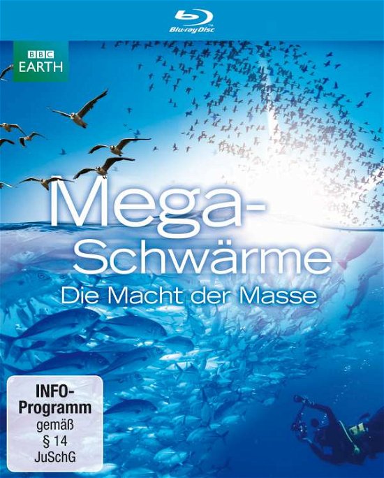 Cover for Bbc Earth / Downer,john · Megaschwärme-die Macht Der Masse (Blu-ray) (2010)