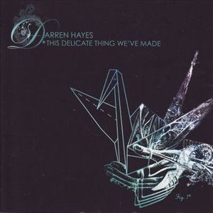 Cover for Darren Hayes · This Delicate Thing We've Made (CD) [Limited edition] (2007)
