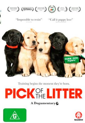Cover for DVD · Pick of the Litter (DVD) (2019)