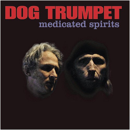 Cover for Dog Trumpet · Medicated Spirits (CD) (2013)