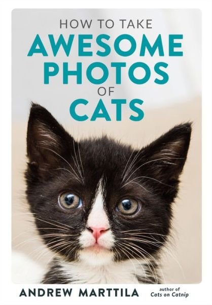 Cover for Andrew Marttila · How to Take Awesome Photos of Cats (Gebundenes Buch) (2020)