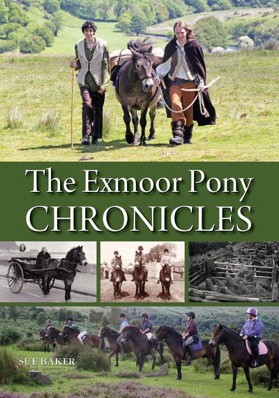 The Exmoor Pony Chronicles - Sue Baker - Książki - Halsgrove - 9780857043153 - 19 października 2017