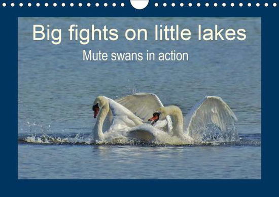 Cover for Schaack · Big fights on little lakes (Wal (Bok)