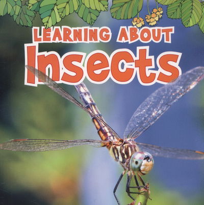 Cover for Catherine Veitch · Learning About Insects - The Natural World (Pocketbok) (2014)