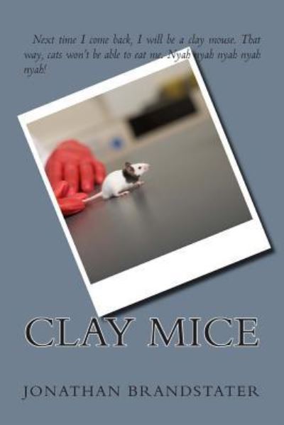 Jonathan Jay Brandstater · Clay Mice (Paperback Book) (2015)