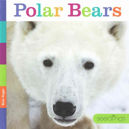 Cover for Kate Riggs · Seedlings: Polar Bears (Hardcover Book) (2015)