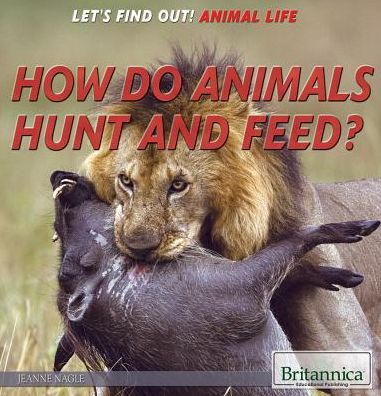 Cover for Jeanne Nagle · How Do Animals Hunt and Feed? (Hardcover Book) (2015)