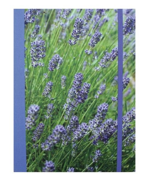 Cover for Cico Books · Lavender Blue Hardback Notebook (Schreibwaren) (2015)