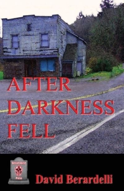 Cover for David Berardelli · After Darkness Fell (Pocketbok) (2021)