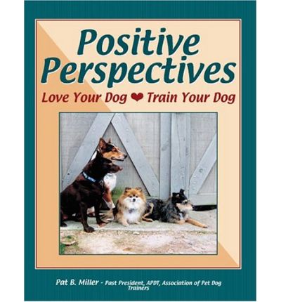 Positive Perspectives - Pat Miller - Livres - FIRST STONE - 9781929242153 - 15 septembre 2003