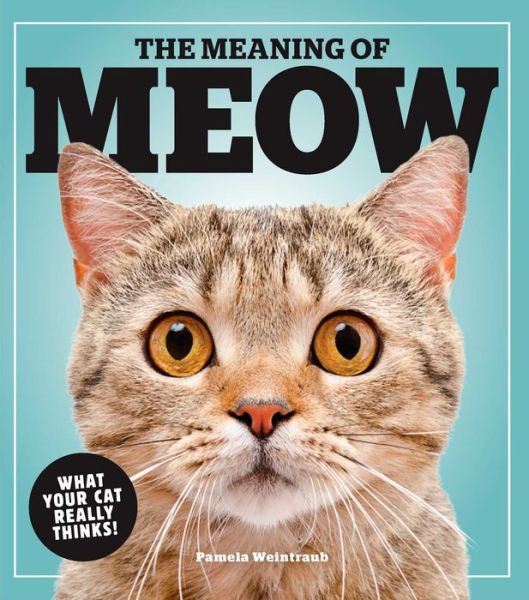 Cover for Pamela Weintraub · The Meaning Of Meow: What Your Cat Really Thinks! (Paperback Book) (2020)