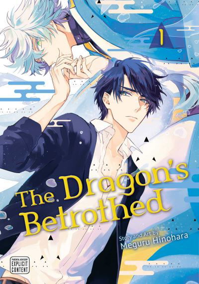 Cover for Meguru Hinohara · The Dragon's Betrothed, Vol. 1 - The Dragon's Betrothed (Taschenbuch) (2023)