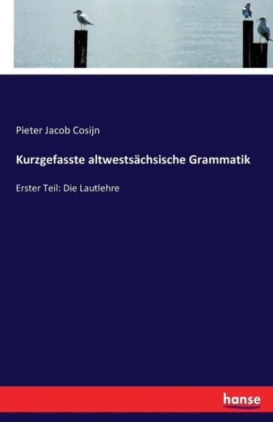Cover for Cosijn · Kurzgefasste altwestsächsische G (Book) (2016)
